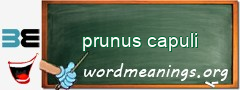 WordMeaning blackboard for prunus capuli